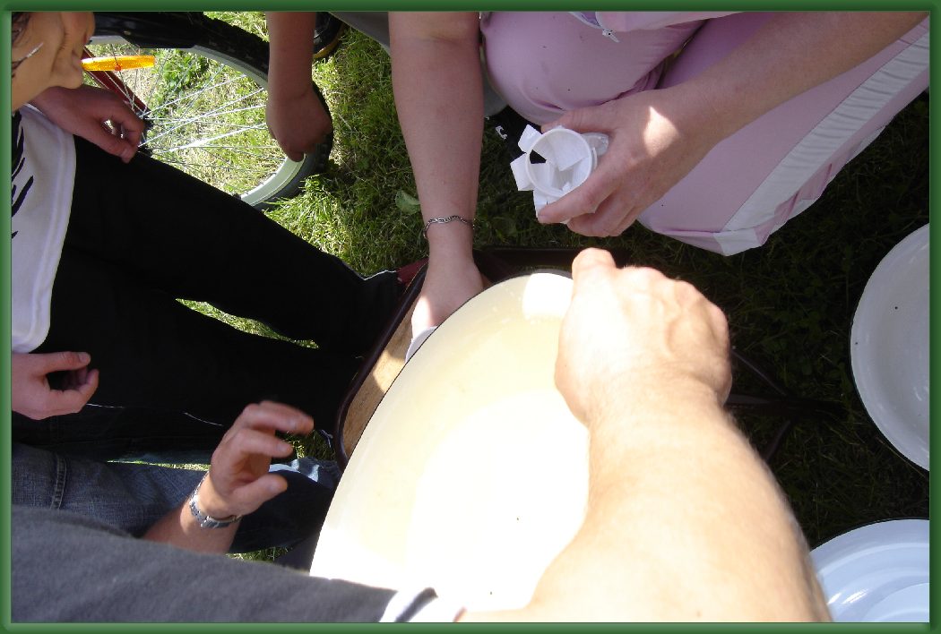 Nast�pne zdj�cie