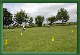 DSC00890 * 2592 x 1728 * (2.15MB)