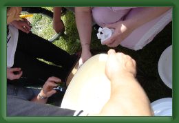 DSC00899 * 2592 x 1728 * (1.83MB)