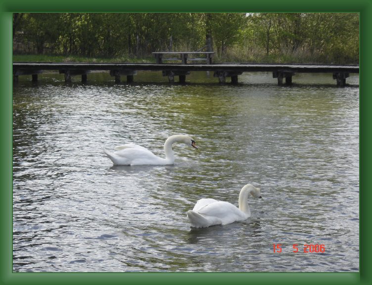 Nast�pne Zdj�cie