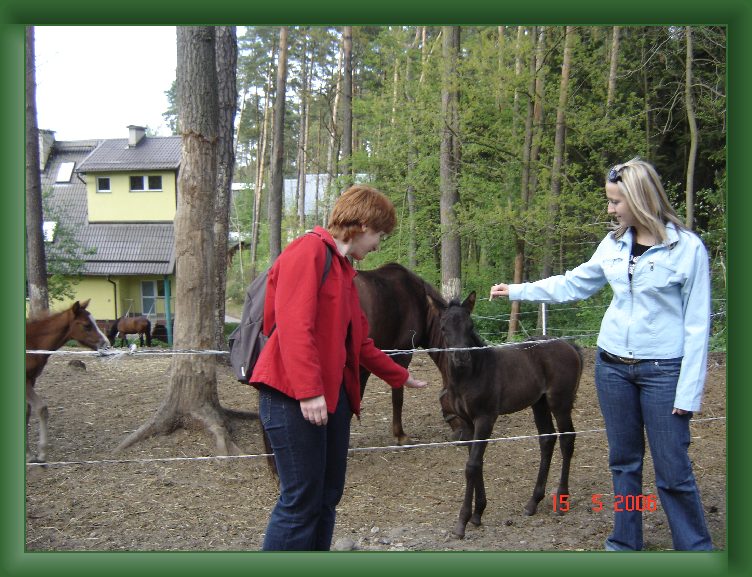 Nast�pne Zdj�cie