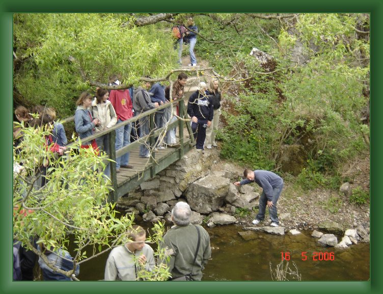 Nast�pne Zdj�cie