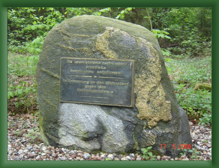 Nast�pne Zdj�cie