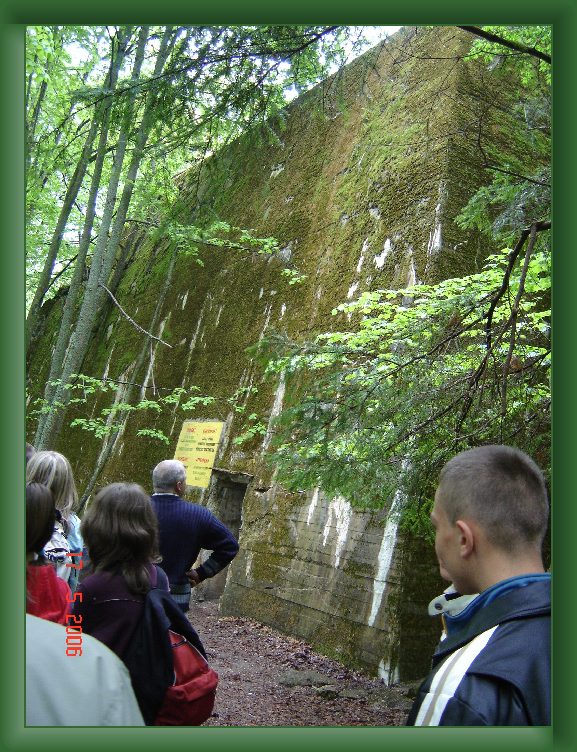 Nast�pne Zdj�cie