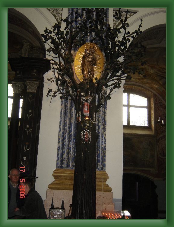 Nast�pne Zdj�cie