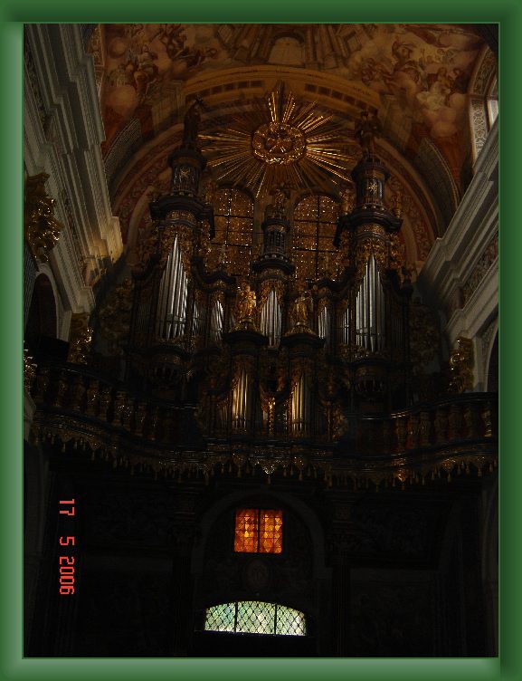 Nast�pne Zdj�cie