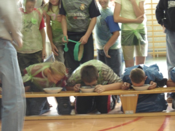 Nast�pne zdj�cie